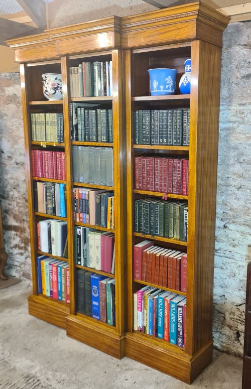 EDWARDIAN SATINWOOD INLAID BREAKFRONT BOOKCASE - ADDITIONAL PHOTO 2