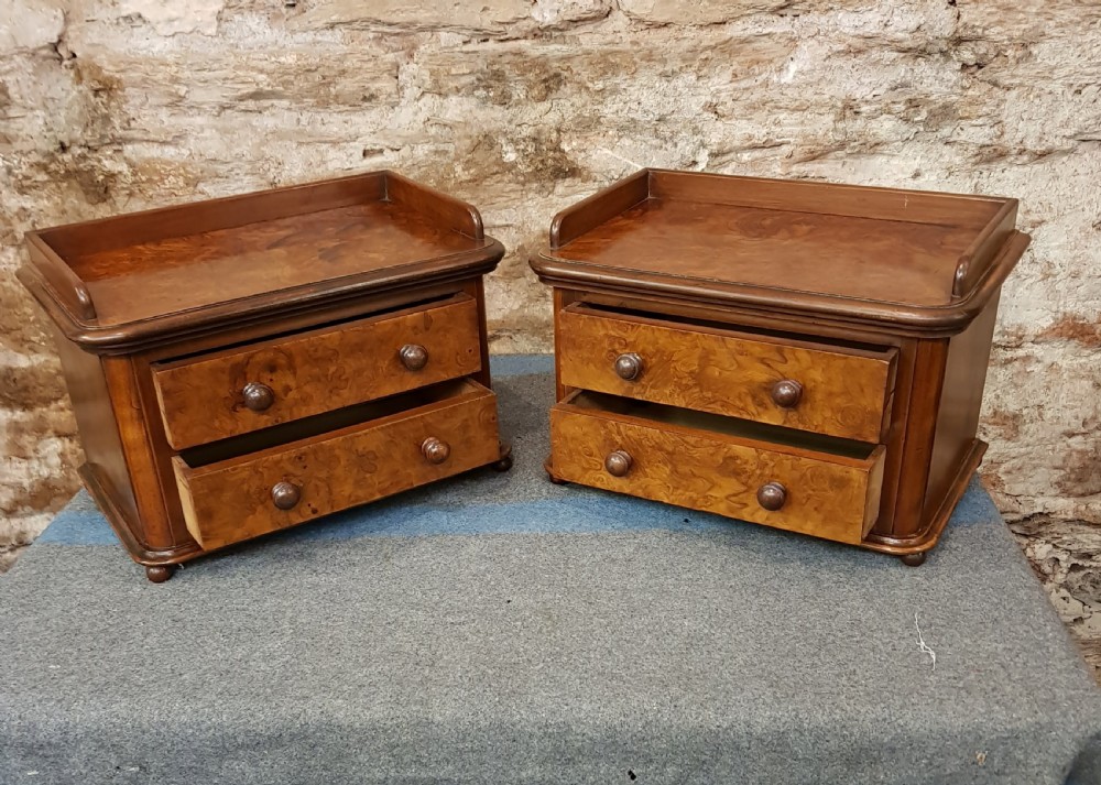 A Pair of Adapted Tabletop Chests View VII