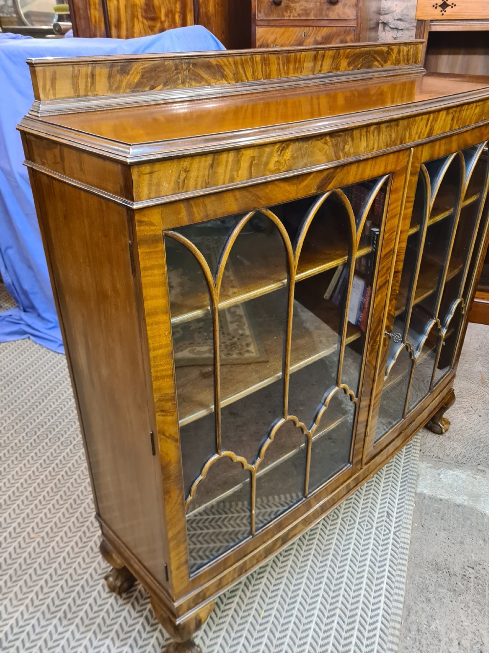 1920s Mahogany Bow Front Bookcase  View III