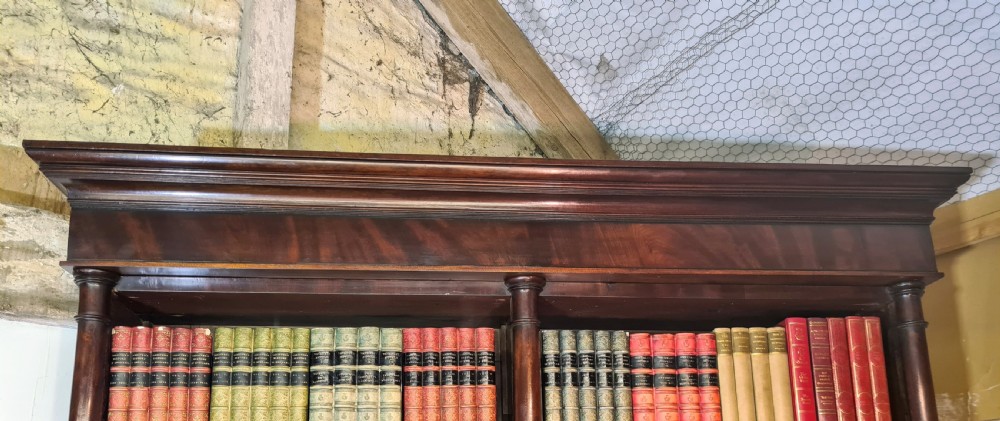 19th Century Architectural Mahogany Library Bookcase  View IV