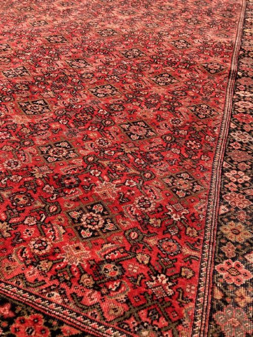 ANTIQUE FERAHAN RUG 193M X 117M - ADDITIONAL PHOTO 4