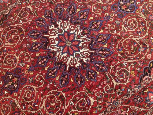 ANTIQUE BAKHTIAR RUG 212M X 159M - ADDITIONAL PHOTO 6
