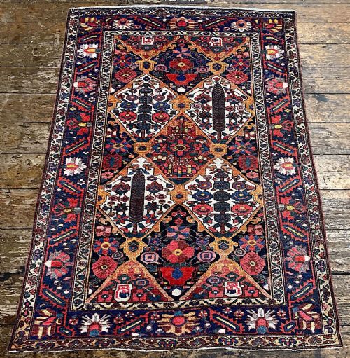 ANTIQUE BAKHTIAR RUG 206M X 147M - ADDITIONAL PHOTO 3