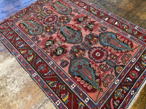 ANTIQUE BAKHTIAR RUG 208M X 145M - ADDITIONAL PHOTO 6