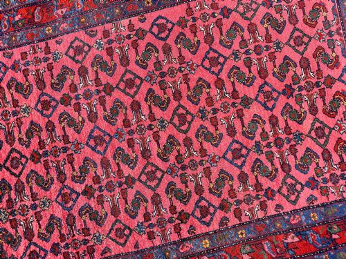 ANTIQUE HAMADAN RUG 153M X 103M - ADDITIONAL PHOTO 10