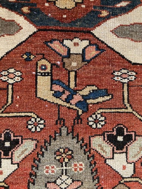 ANTIQUE BAKHTIAR RUG 206M X 133M - ADDITIONAL PHOTO 13