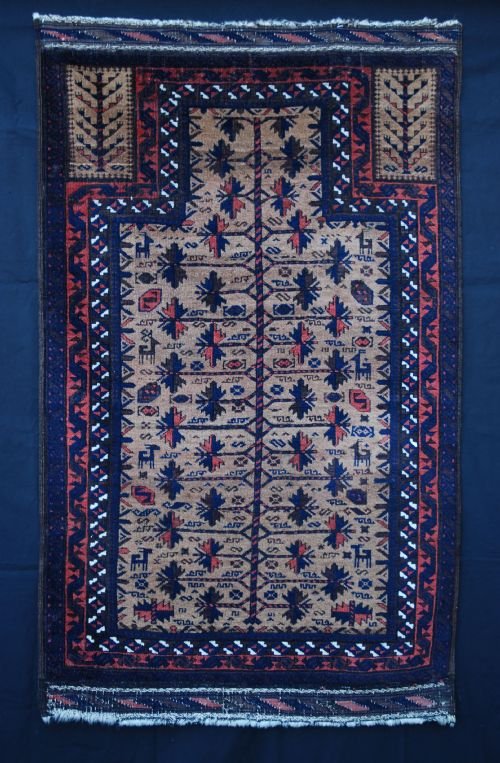 Antique Prayer-rug, Timuri Tribes, Western Afghanistan