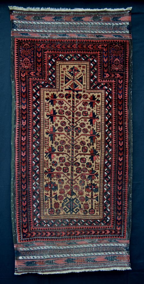 Antique Prayer-rug, Timuri Yaqoub Khani Tribe, Borderlands of Eastern Persia/western Afghanistan.