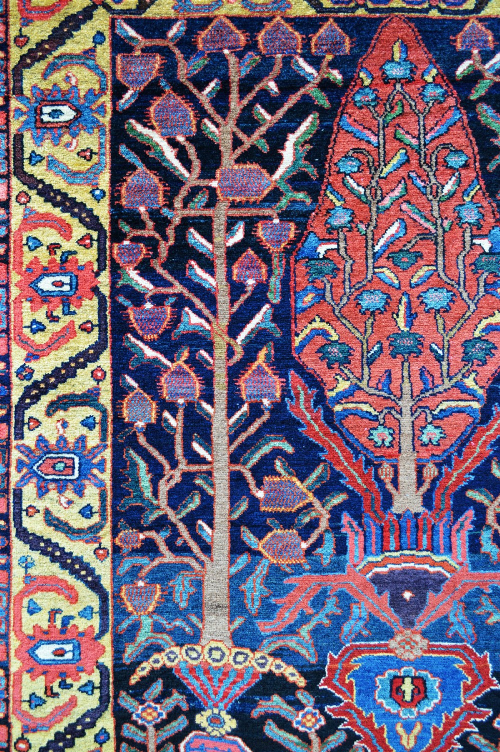 Antique Bakhtiari Khan Rug, The Chahar Mahal, Western Persia. View II