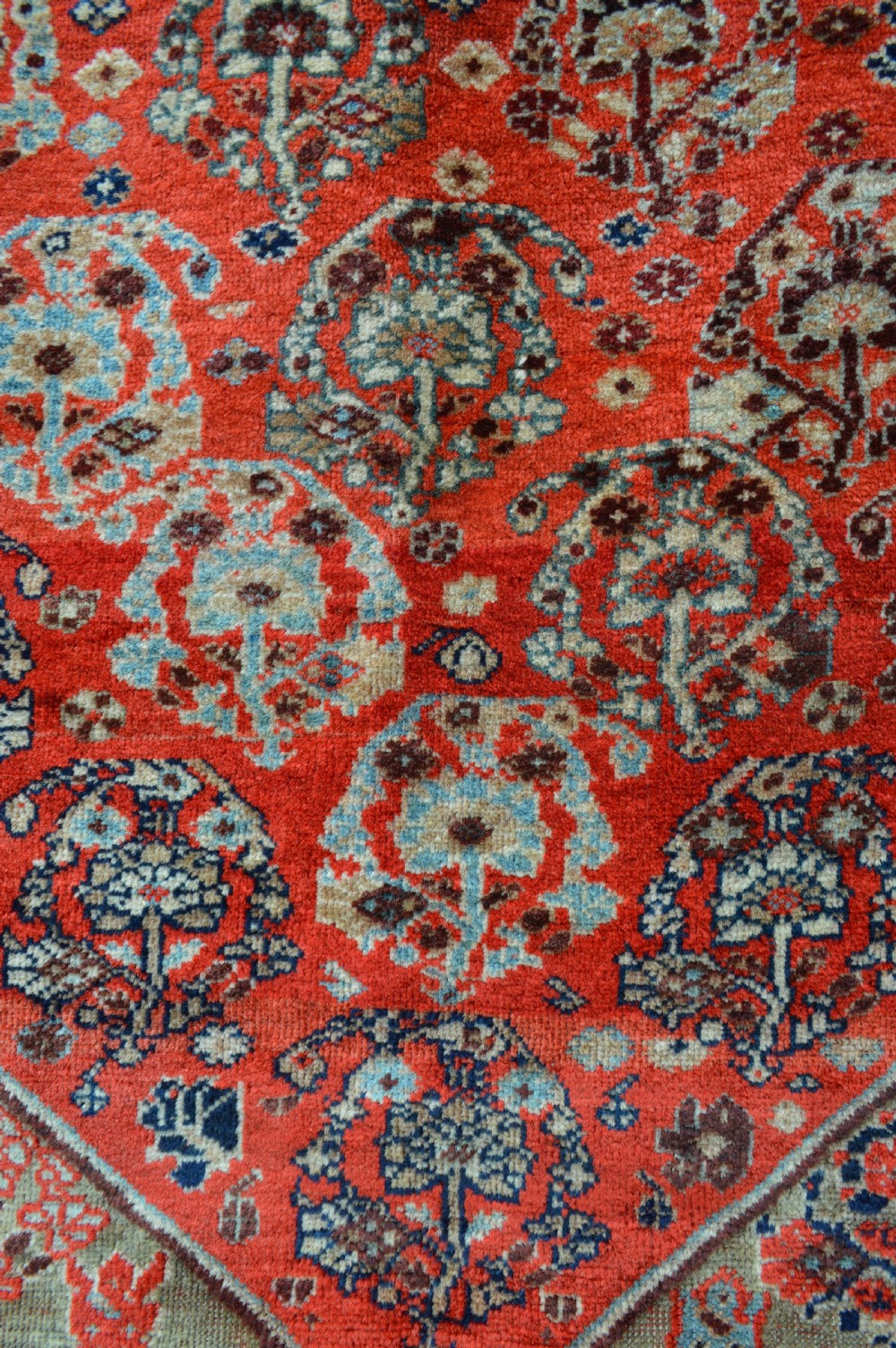 Antique Qashqa'i Rug, Kashkuli Tribe, Fars Province, South-West Persia. View IV