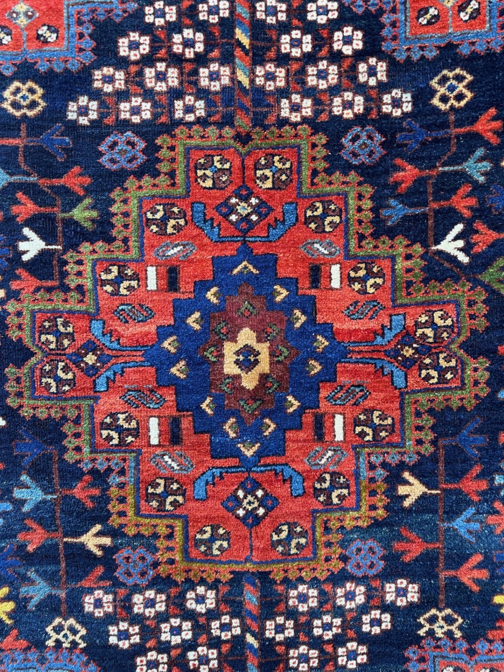 Alternate View