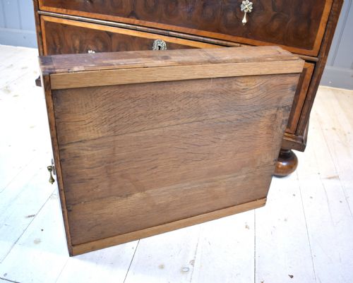 OYSTER LABURNUM CHEST OF DRAWERS - ADDITIONAL PHOTO 8