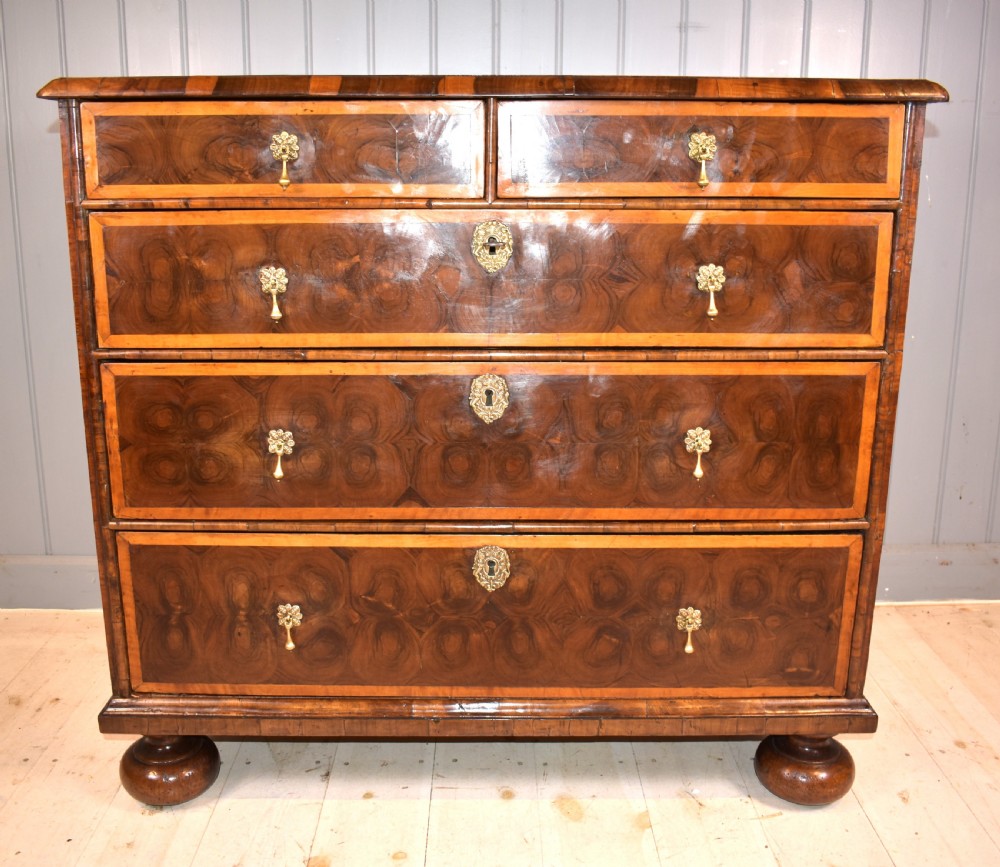 Oyster laburnum chest of drawers 