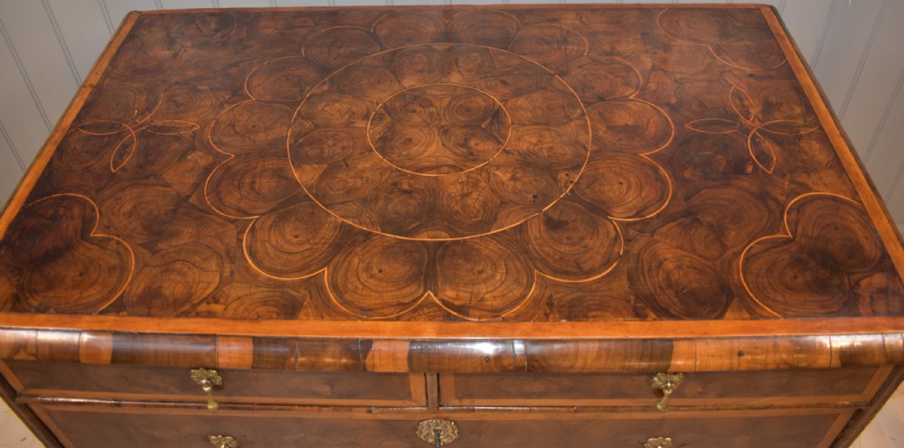 Oyster laburnum chest of drawers  View III