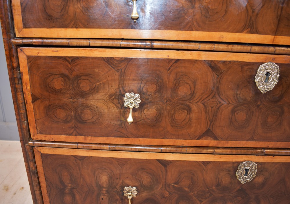 Oyster laburnum chest of drawers  View V