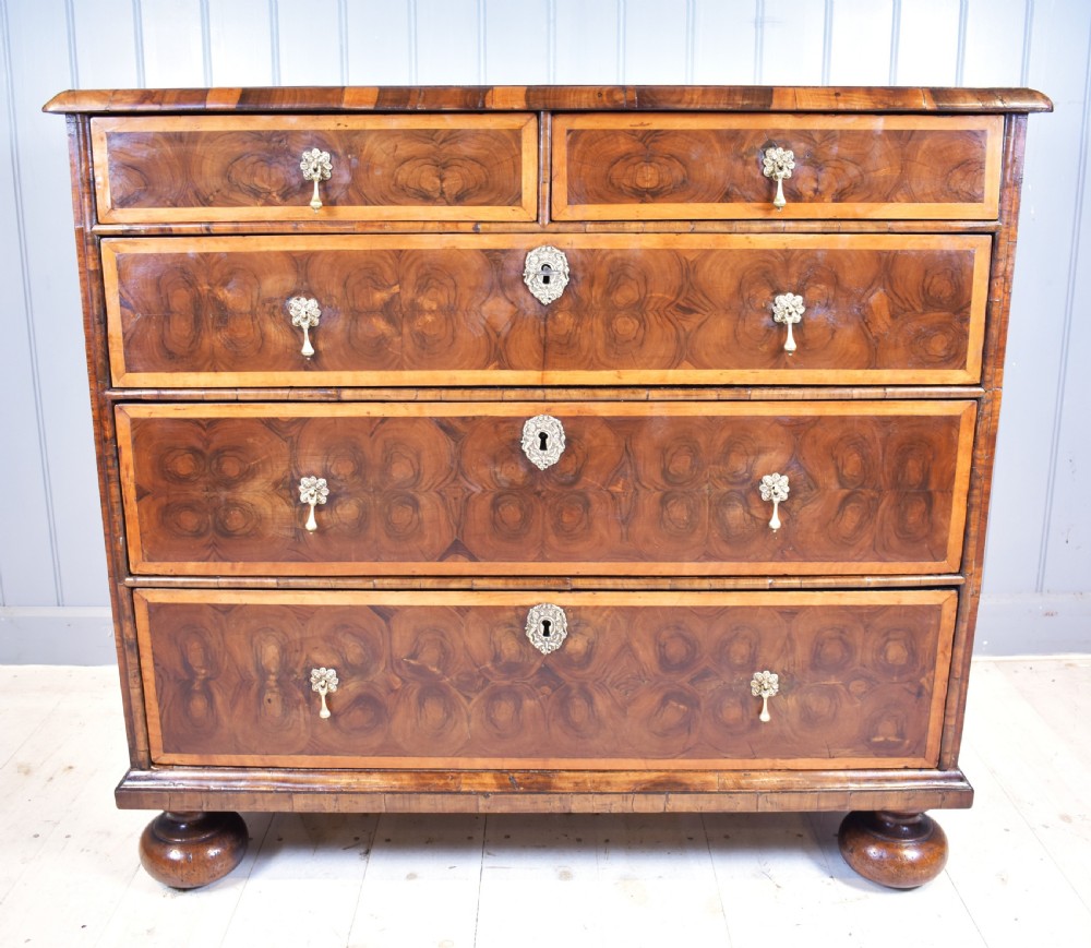 Oyster laburnum chest of drawers  View VII