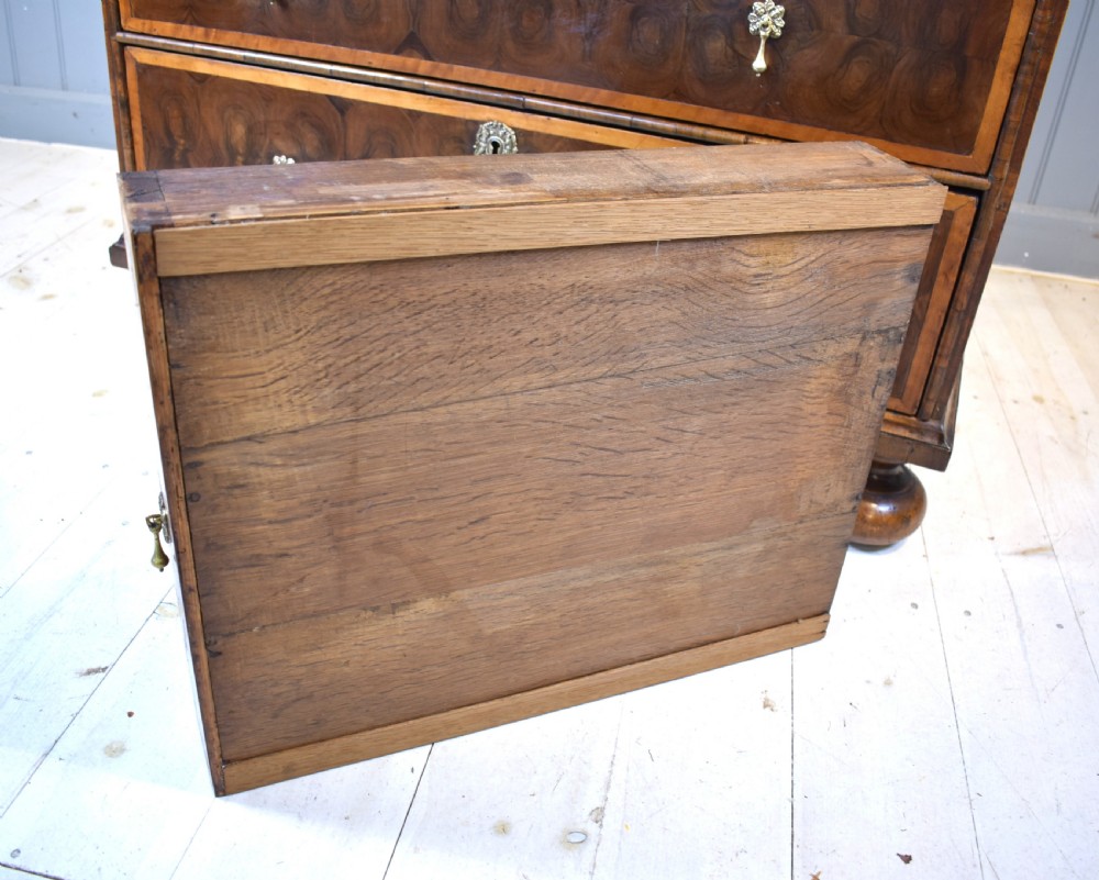 Oyster laburnum chest of drawers  View X