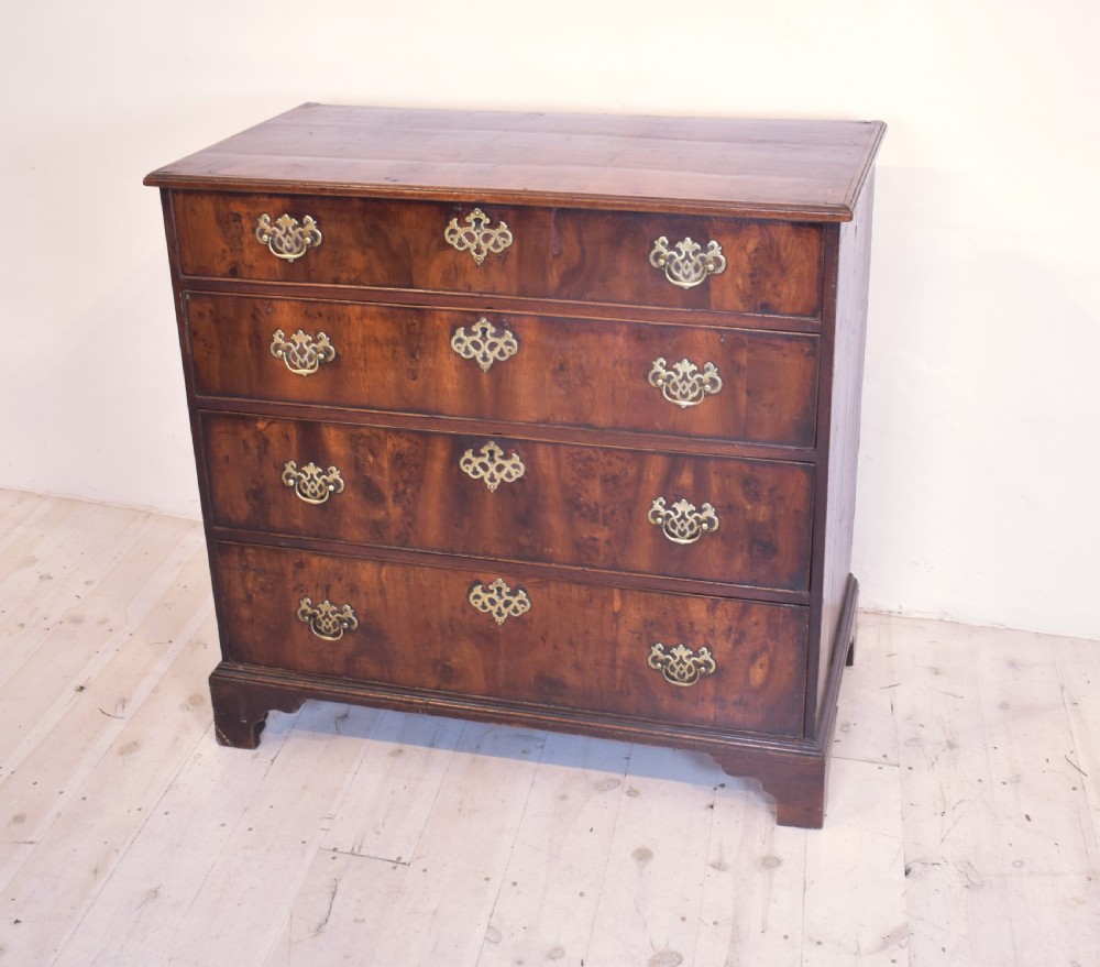 A Georgian yew wood chest of drawers featuring four graduated long drawers with ornate brass drop handles and bracket feet.