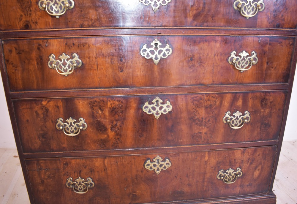 A Georgian yew wood chest of drawers featuring four graduated long drawers with ornate brass drop handles and bracket feet. View VII