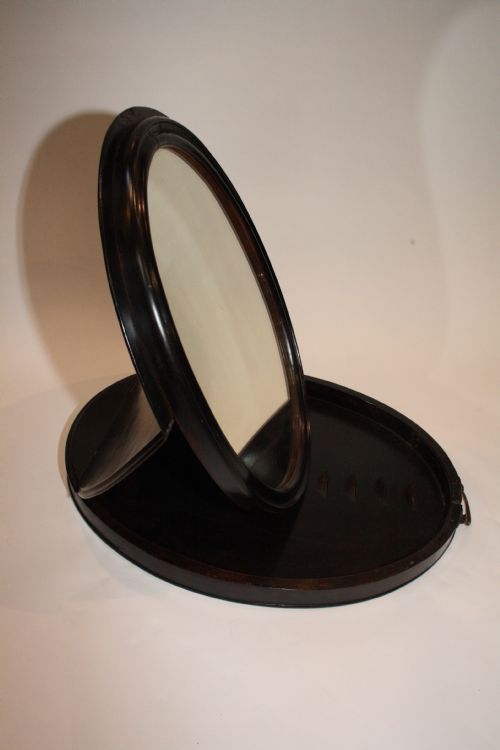 Campaign Mirror with Provenance