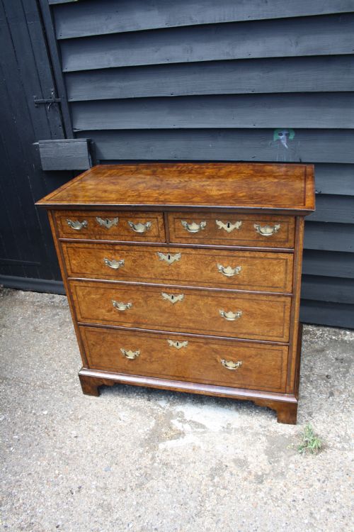 Early 18th Century Burr Ash Chest of Drawers