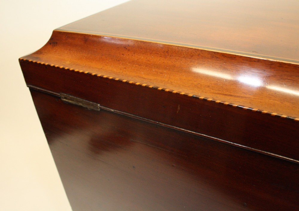 George III mahogany wine cooler View IX