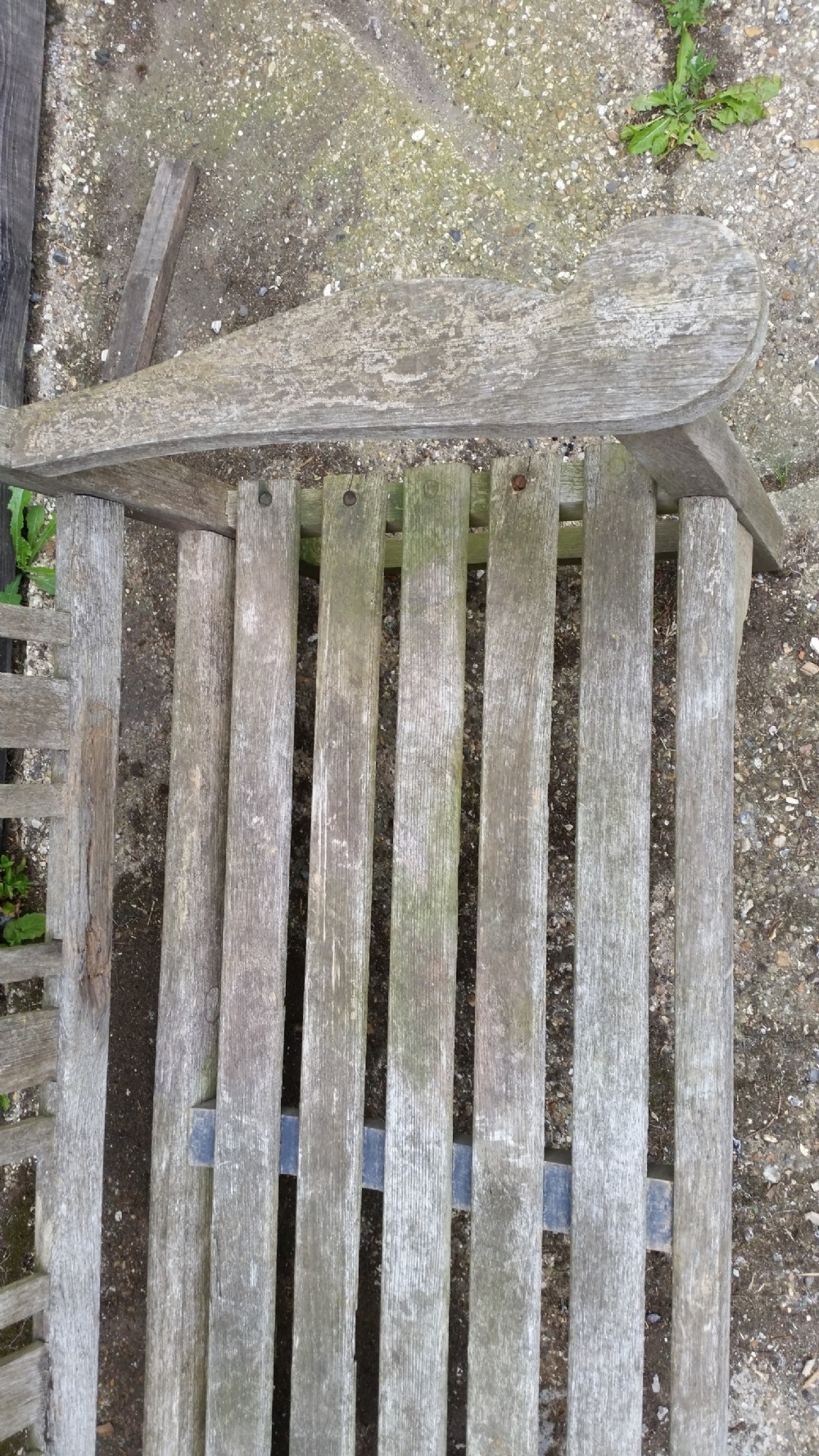 Late 19th Century Teak Garden Bench View VII