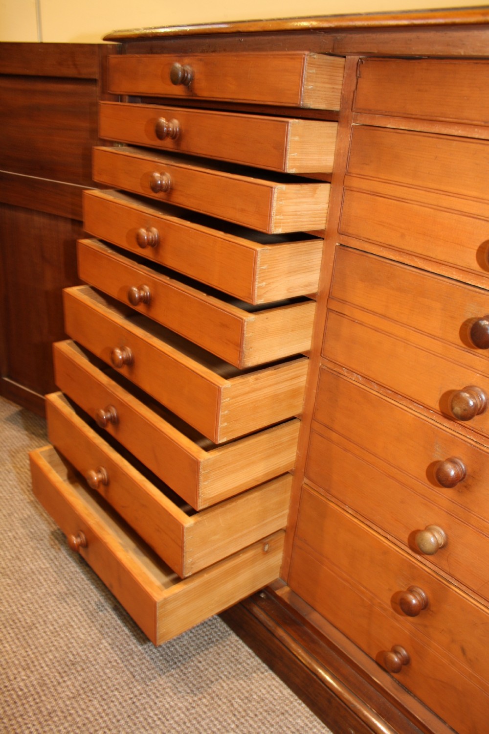 Mahogany Collectors Cabinet View VIII