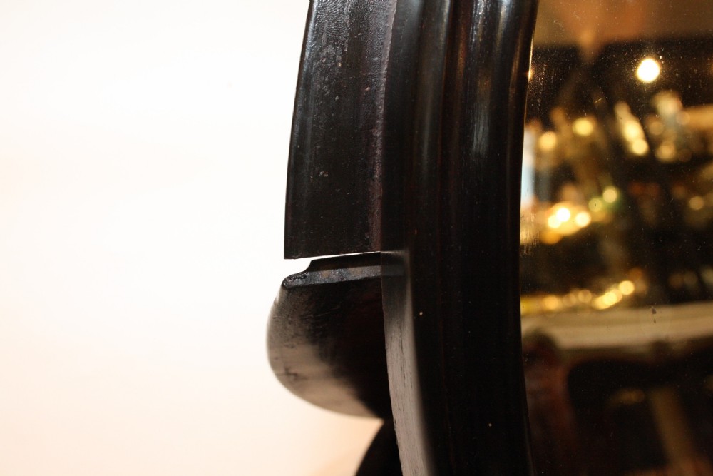 Campaign Mirror with provenance View X