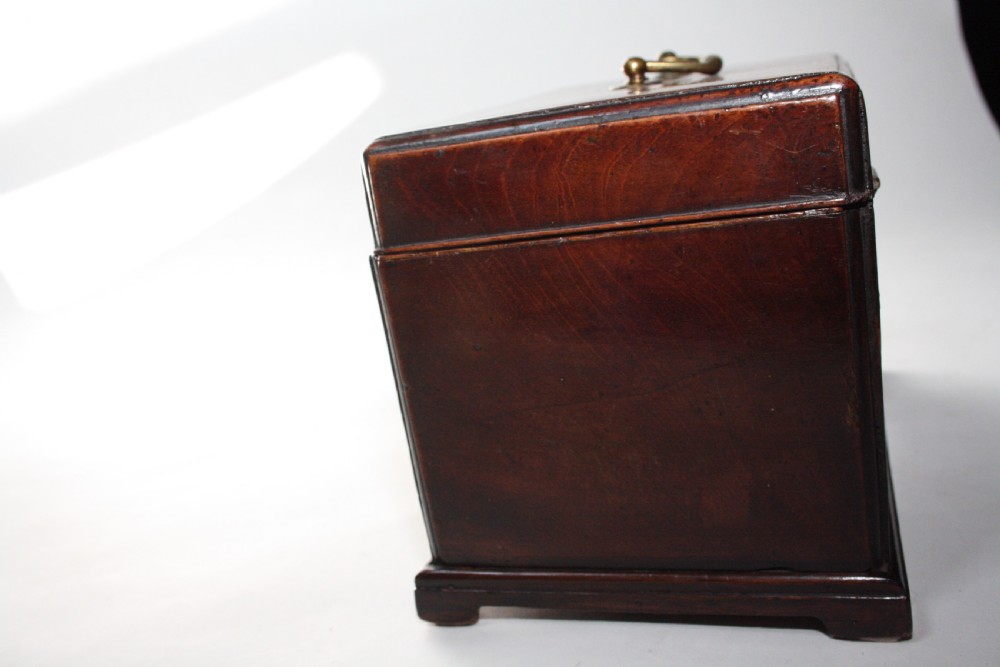 Early Georgian mahogany tea caddy View VI
