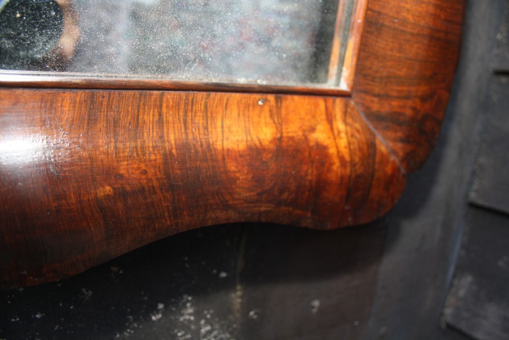 C1800 rosewood mirror View VIII