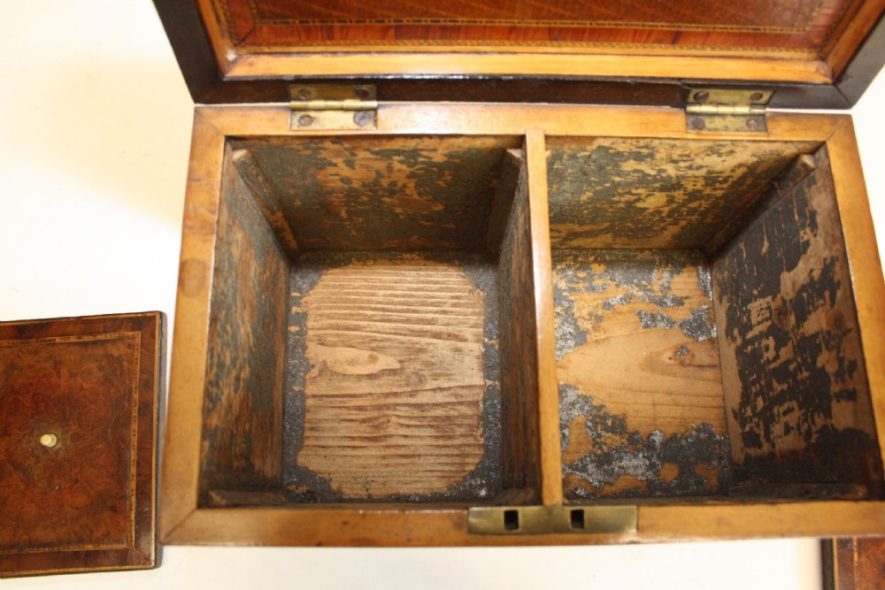 Superb tea caddy in burr yew C1780 View VI