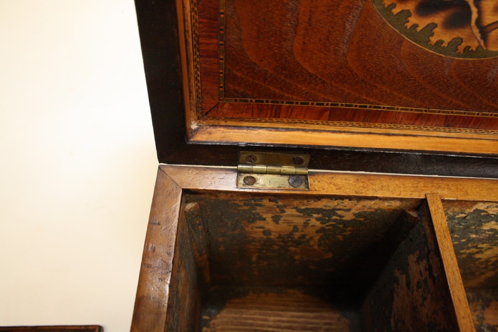 Superb tea caddy in burr yew C1780 View VII