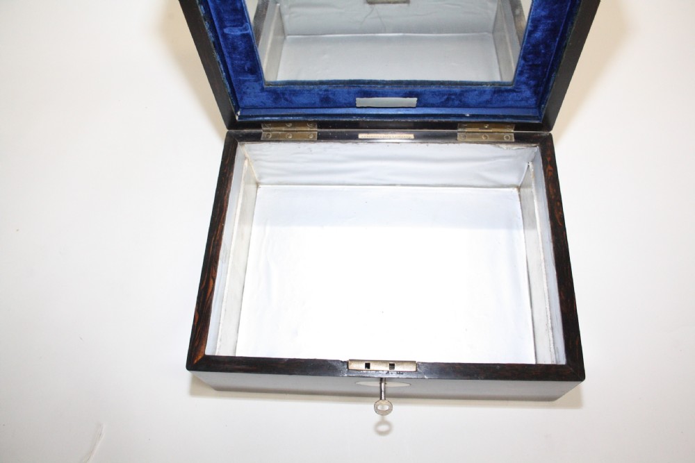 19th century Coromandel work box View IX