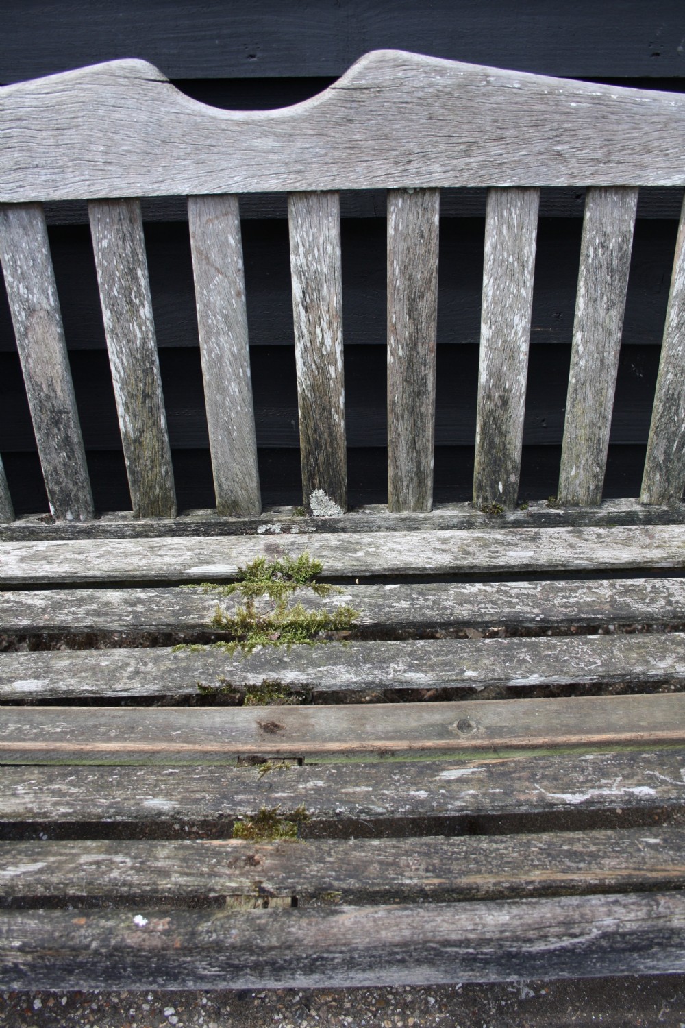 Early 20th century garden bench in teak View V