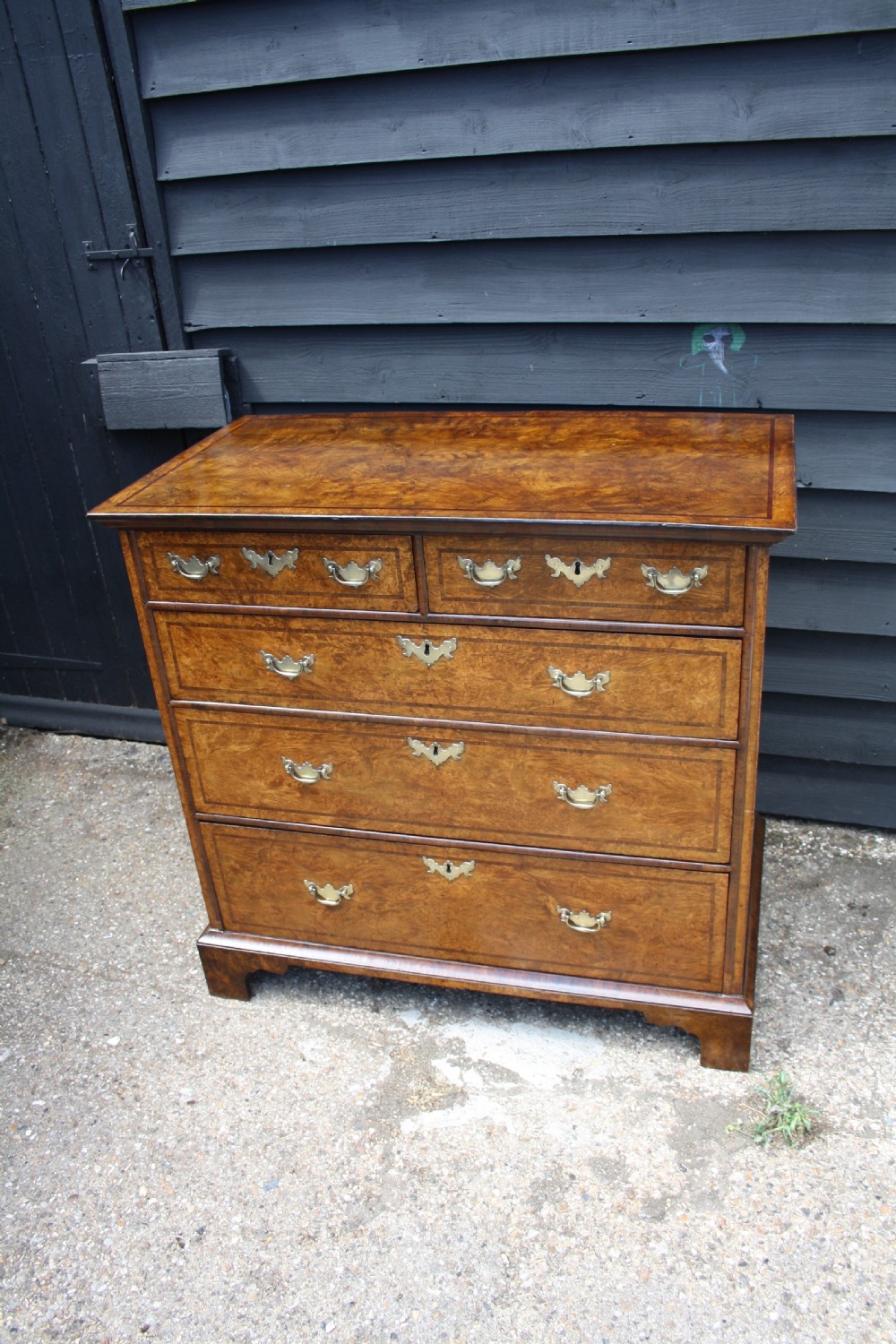 Early 18th Century Burr Ash Chest of drawers
