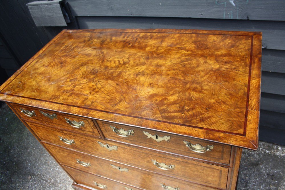 Early 18th Century Burr Ash Chest of drawers View II