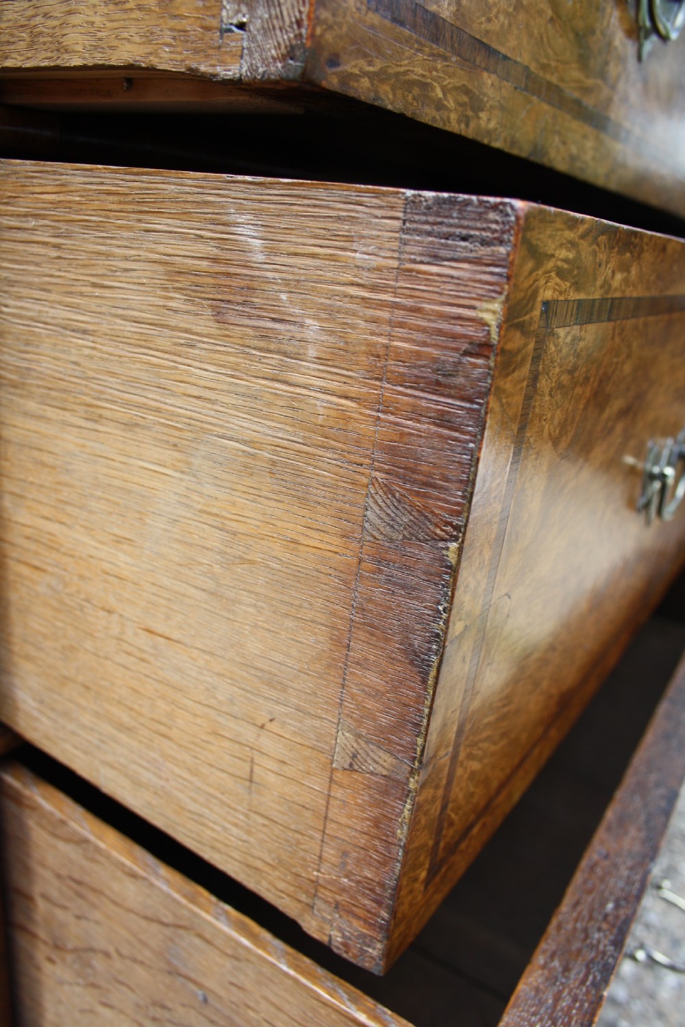 Early 18th Century Burr Ash Chest of drawers View V