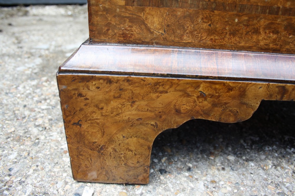Early 18th Century Burr Ash Chest of drawers View IX