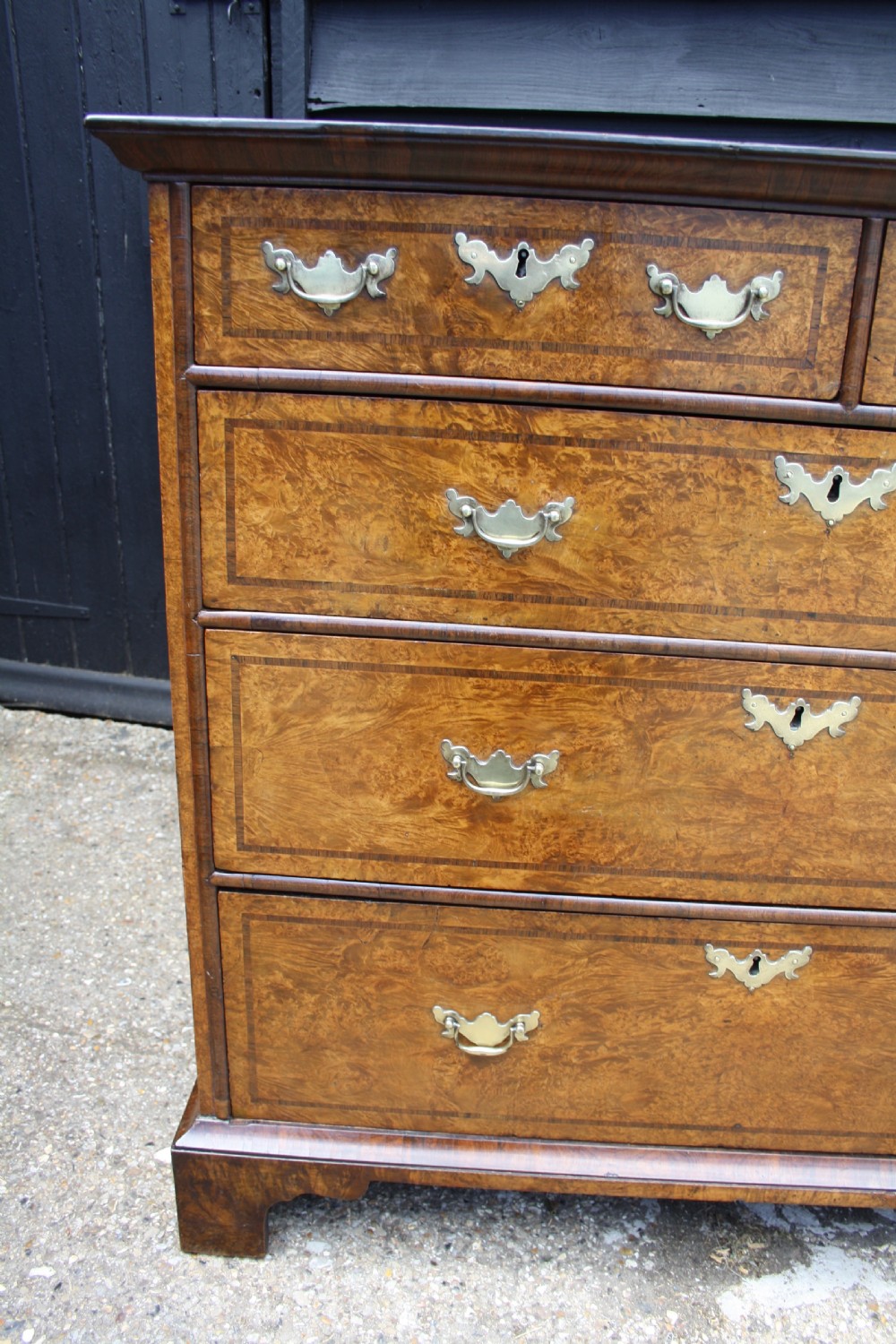Early 18th Century Burr Ash Chest of drawers View X