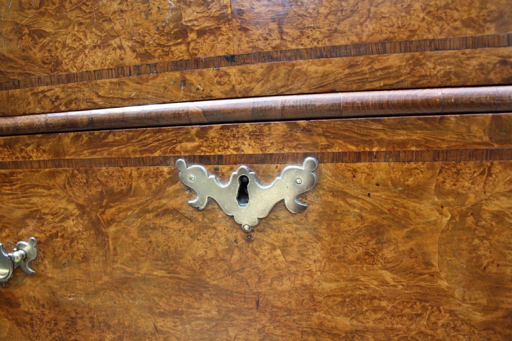 Early 18th Century Burr Ash Chest of drawers View XII
