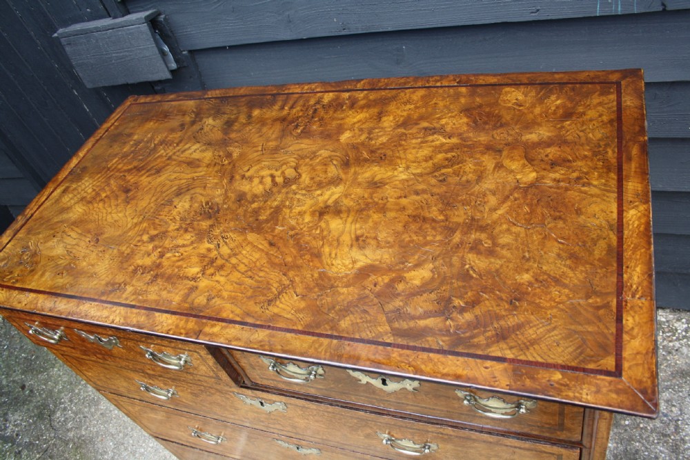 Early 18th Century Burr Ash Chest of drawers View XV