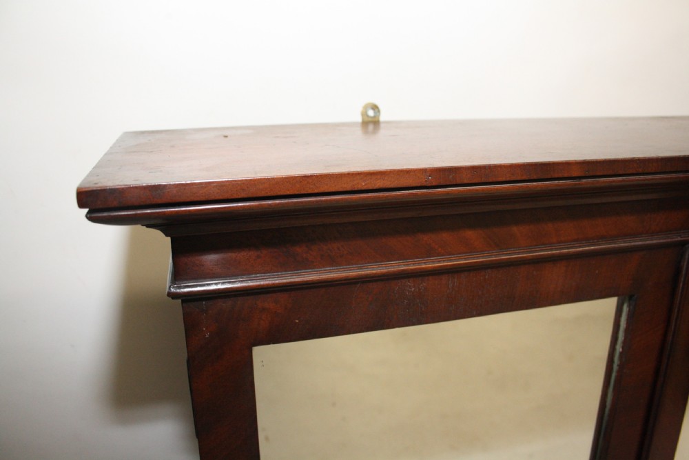 Pair of 19th century mahogany wall cabinets View III