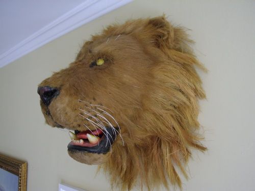 FAUX TAXIDERMY LIONS HEAD HAND MADE FILM SET PROP