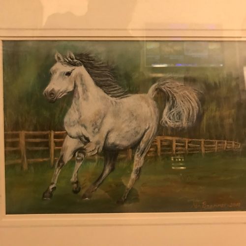 GREY ARAB STALLION HORSE PASTEL PAINTING - ADDITIONAL PHOTO 1