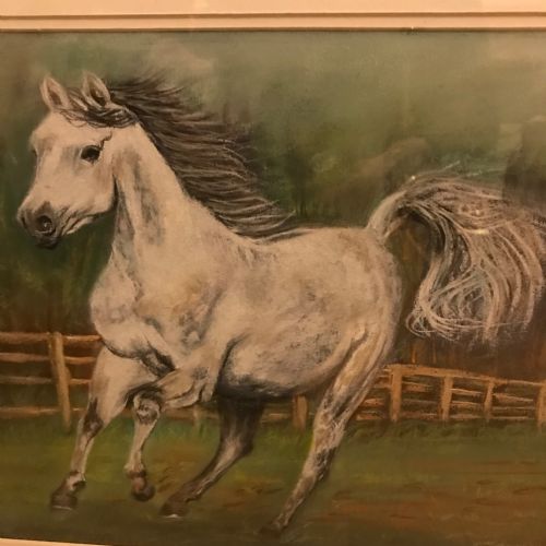 GREY ARAB STALLION HORSE PASTEL PAINTING - ADDITIONAL PHOTO 8