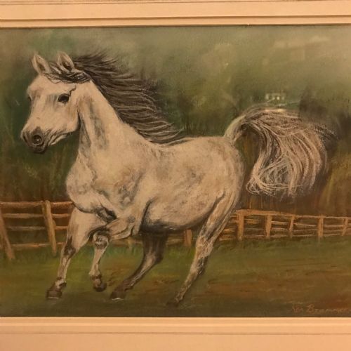 GREY ARAB STALLION HORSE PASTEL PAINTING - ADDITIONAL PHOTO 5