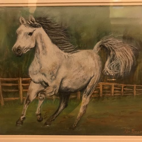 GREY ARAB STALLION HORSE PASTEL PAINTING - ADDITIONAL PHOTO 4