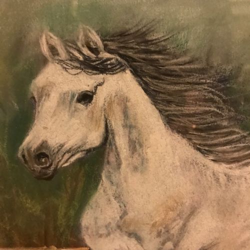 GREY ARAB STALLION HORSE PASTEL PAINTING - ADDITIONAL PHOTO 6