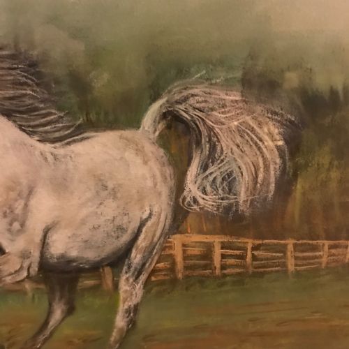 GREY ARAB STALLION HORSE PASTEL PAINTING - ADDITIONAL PHOTO 7